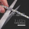 Iluminação LED | Loja Online Especializada Leds | Virtualleds Portugal